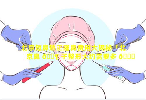 北京短鼻矫正隆鼻费用大揭秘「北京鼻 🐶 子整形大约需要多 🐕 少钱」